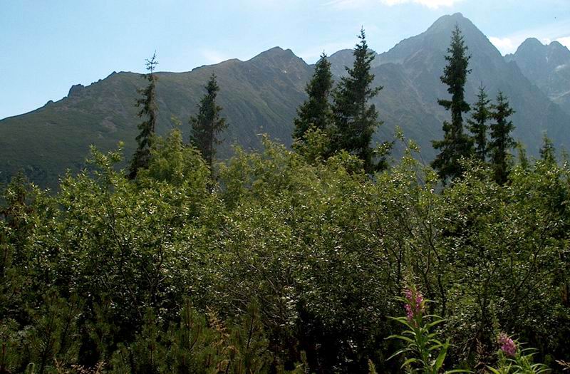 Belianske Tatry a Vysok Tatry - pomedzie